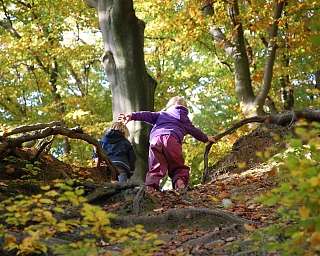 Kindertagesstaette-kisdorf_sonnenschein_27